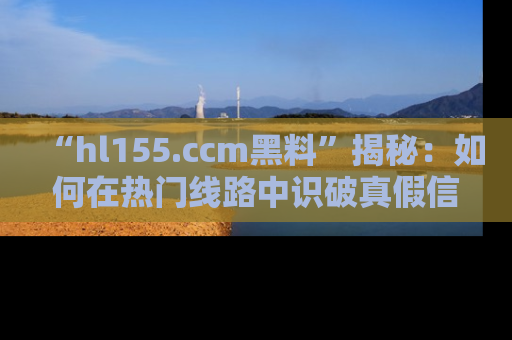 “hl155.ccm黑料”揭秘：如何在热门线路中识破真假信息