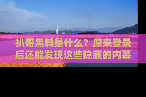 扒哥黑料是什么？原来登录后还能发现这些隐藏的内幕！