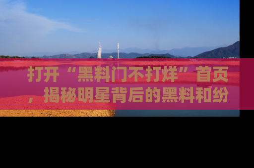 打开“黑料门不打烊”首页，揭秘明星背后的黑料和纷争真相！