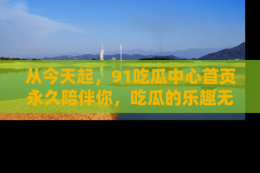 从今天起，91吃瓜中心首页永久陪伴你，吃瓜的乐趣无穷无尽！