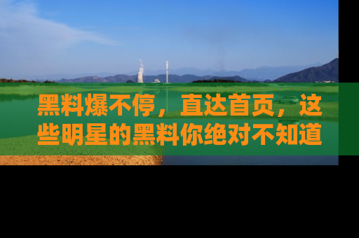 黑料爆不停，直达首页，这些明星的黑料你绝对不知道！