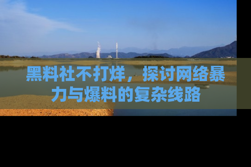 黑料社不打烊，探讨网络暴力与爆料的复杂线路