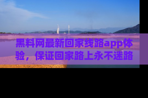 黑料网最新回家线路app体验，保证回家路上永不迷路顺畅