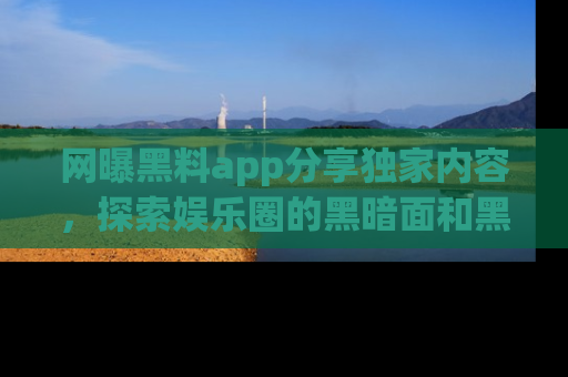 网曝黑料app分享独家内容，探索娱乐圈的黑暗面和黑料