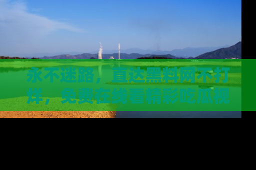 永不迷路,直达黑料网不打烊,免费在线看精彩吃瓜视频!