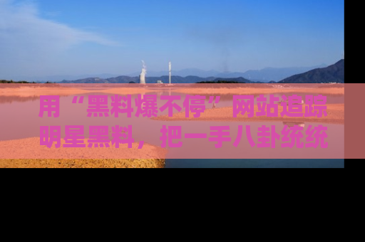 用“黑料爆不停”网站追踪明星黑料，把一手八卦统统收进你的后宫中！
