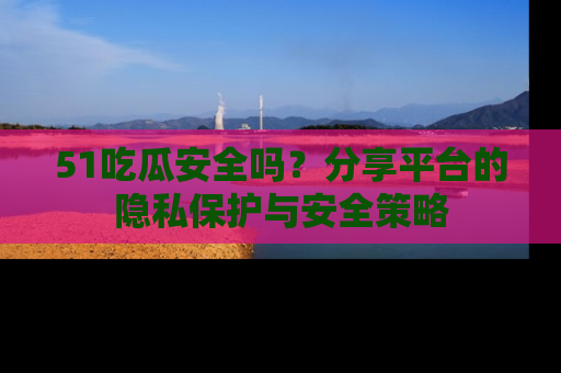 51吃瓜安全吗？分享平台的隐私保护与安全策略