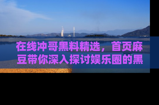 在线冲哥黑料精选，首页麻豆带你深入探讨娱乐圈的黑暗面