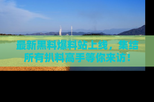 最新黑料爆料站上线，集结所有扒料高手等你来访！